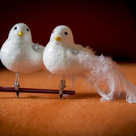 Vila Two White Pigeons Ieper Pokoj fotografie