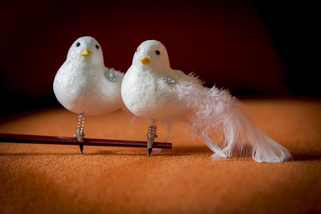 Vila Two White Pigeons Ieper Pokoj fotografie